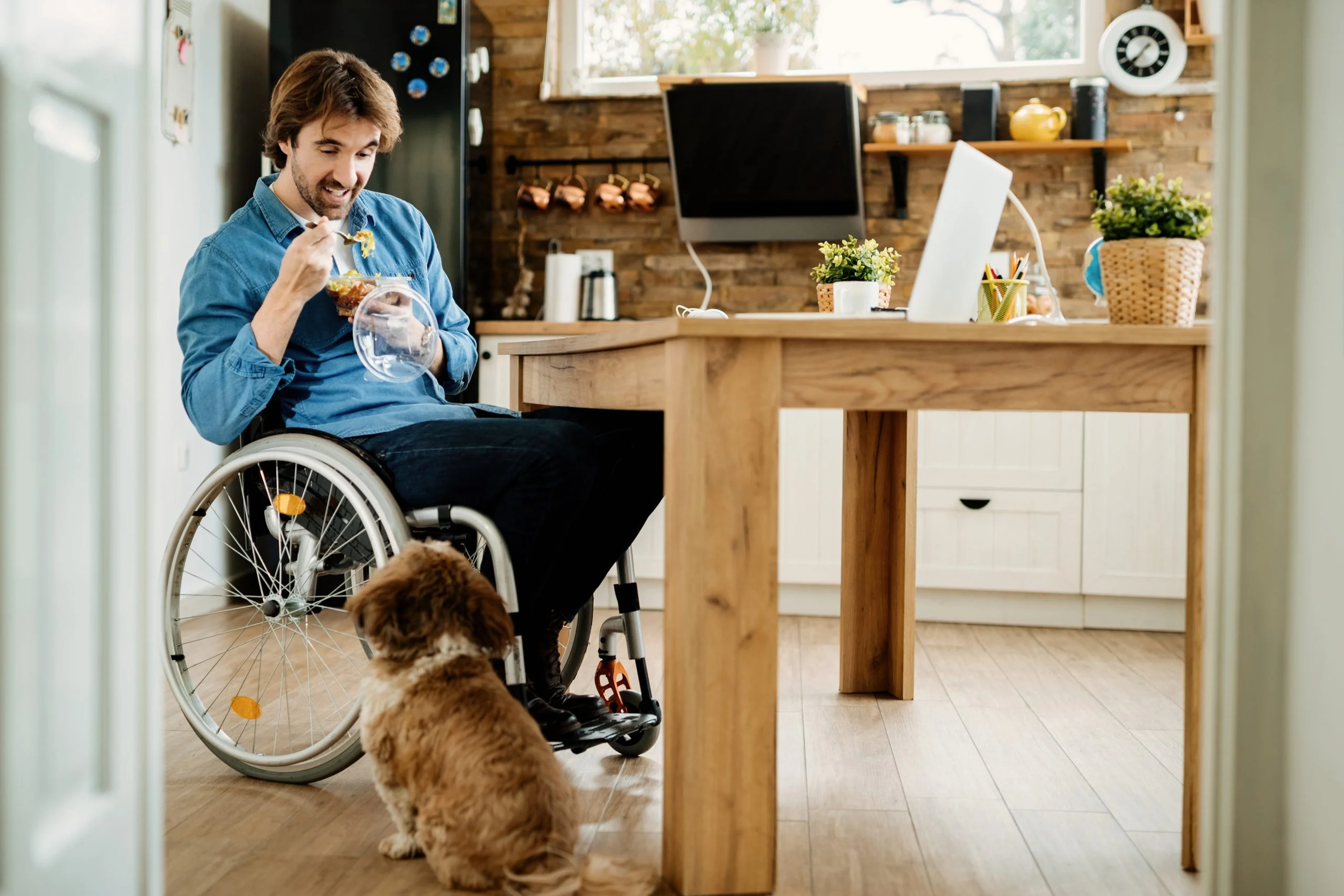 Dog looking up at man in a wheelchair eating